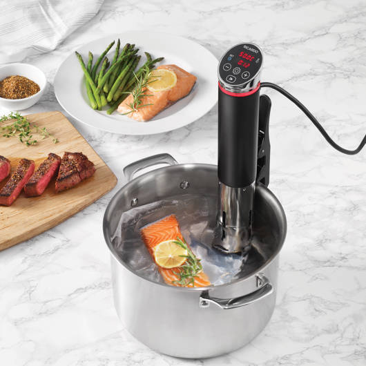 sous vide precision cooker