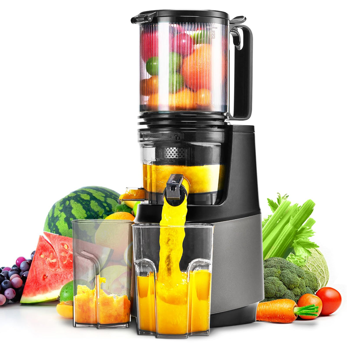 slow masticating juicer